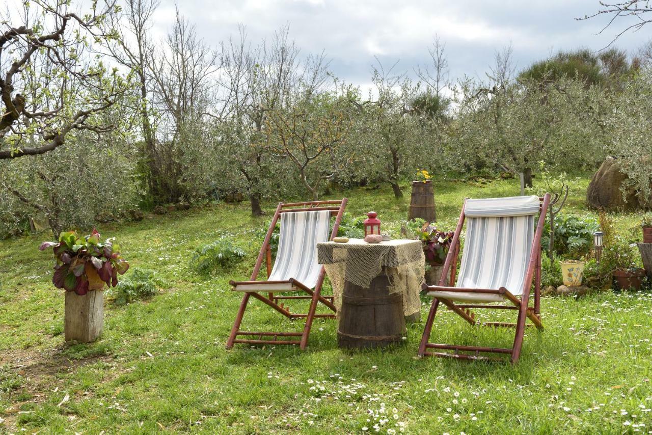 Agriturismo Campo Alla Piana Villa มอนติคเคียโล ภายนอก รูปภาพ